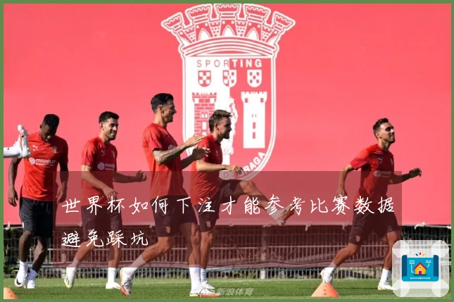 世界杯如何下注才能参考比赛数据避免踩坑