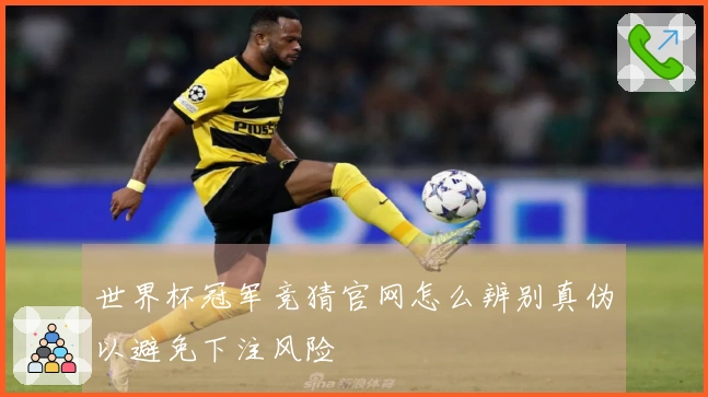 世界杯冠军竞猜官网怎么辨别真伪以避免下注风险