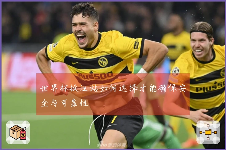 世界杯投注站如何选择才能确保安全与可靠性