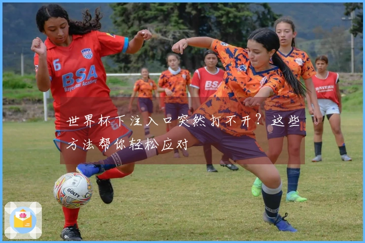世界杯下注入口突然打不开？这些方法帮你轻松应对