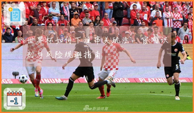 世界杯如何下注串关玩法，官网识别与风险规避指南